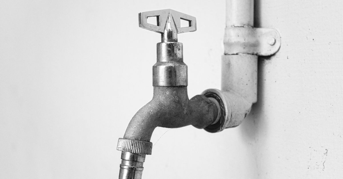Understanding Common Causes of Blocked Drains in Bathurst